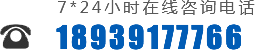 0391-7549889